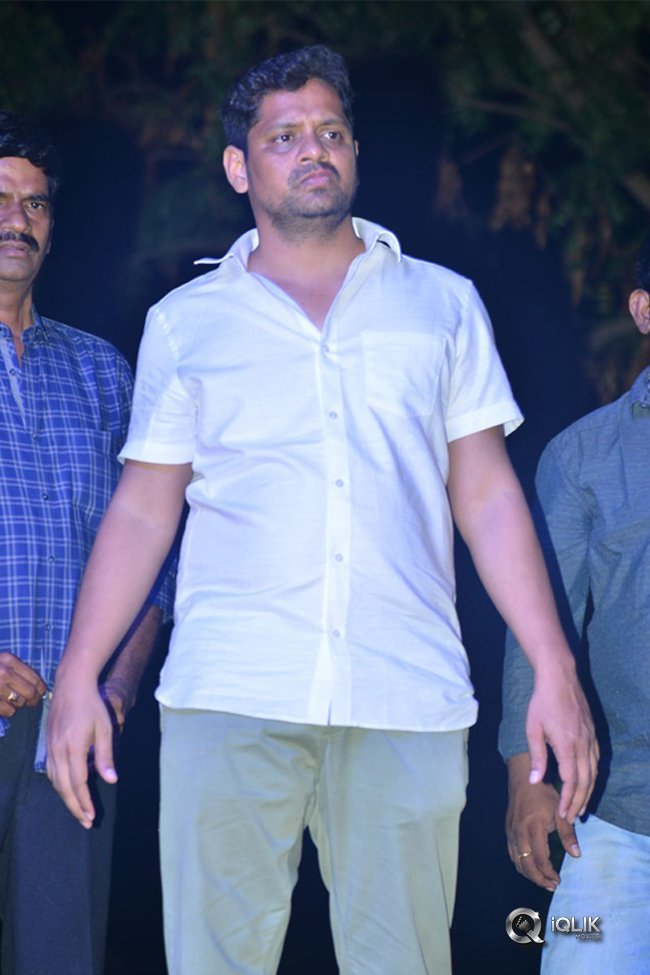 Naa-Peru-Surya-Naa-Illu-India-Movie-Audio-Launch